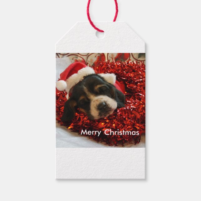 Étiquettes-cadeau Basset hound (Devant)