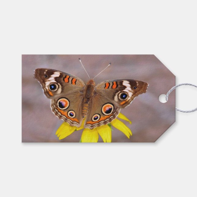 Étiquettes-cadeau Beau papillon sur Fleur Jaune (Devant (Horizontal))