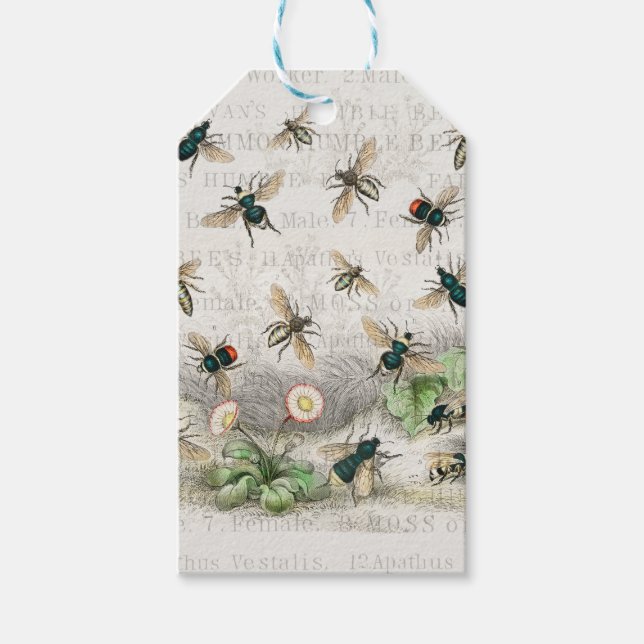 Étiquettes-cadeau Bee Honey Travailleur Queen Bees Antique (Devant)
