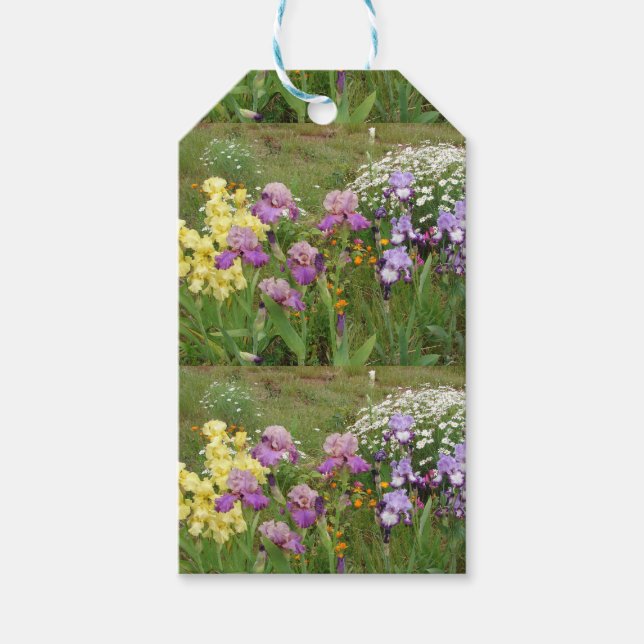 Étiquettes-cadeau Belle photo florale d'Iris violet (Devant)