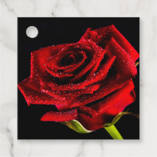 Étiquettes Cadeau Belle rose rouge