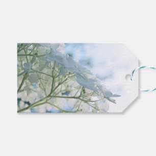 Étiquettes-cadeau Belles Fleurs d'Hydrange Blanche Highkey