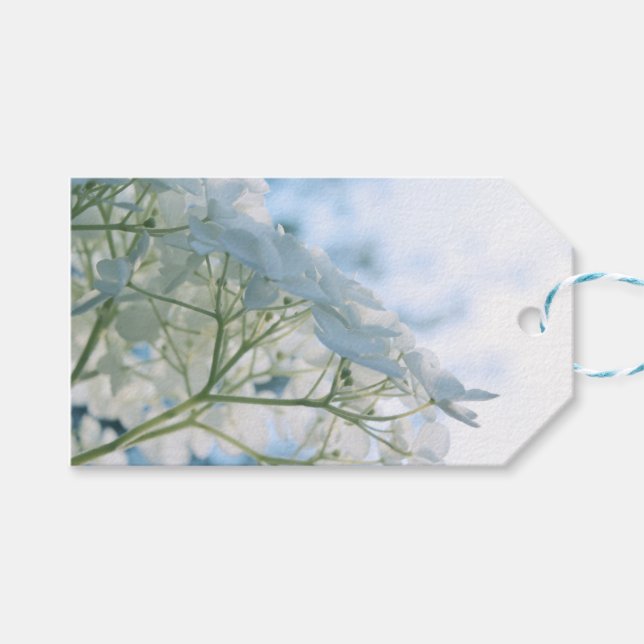 Étiquettes-cadeau Belles Fleurs d'Hydrange Blanche Highkey (Devant (Horizontal))
