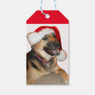 Étiquettes-cadeau Berger allemand portant un Casquette du Père Noël