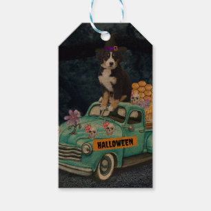 Étiquettes-cadeau Bernois Montagne Halloween Camion La nuit de la pe