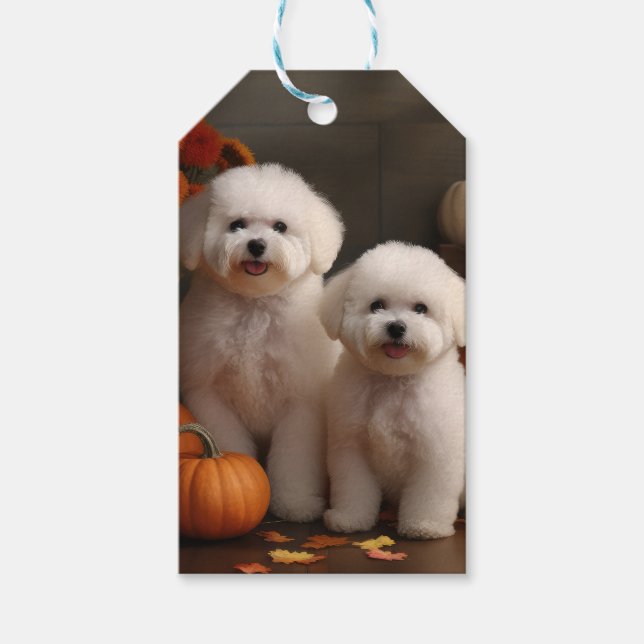 Étiquettes-cadeau Bichon Frise Puppy Automne Citrouille délice (Devant)