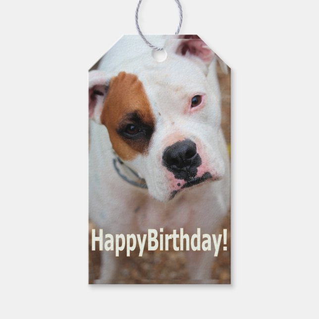 Étiquettes-cadeau Birthday Boop (Devant)