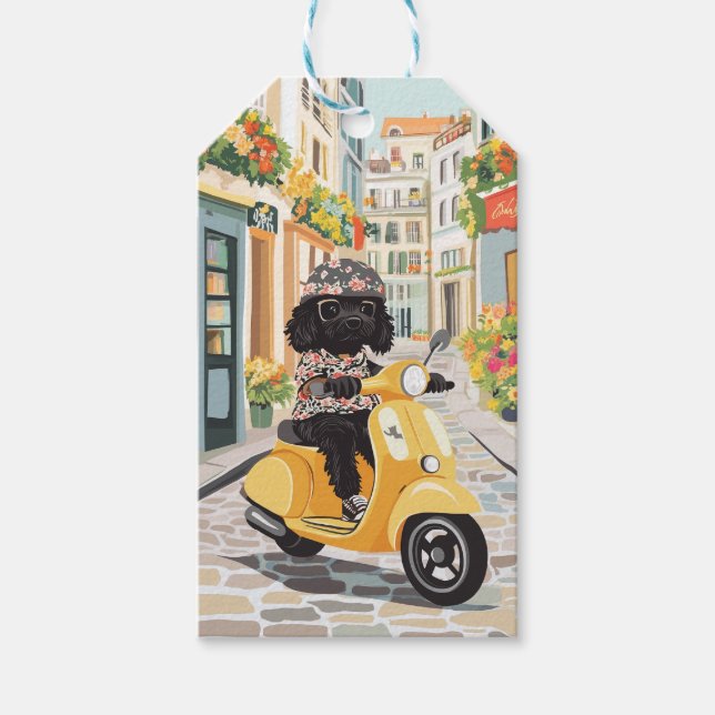 Étiquettes-cadeau Black Doodle Riding Scooter European City Streets (Devant)