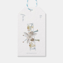 Blue Airplane Gift Tag