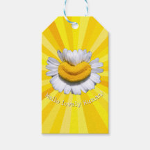 "Bonjour bel Humain !" Chamomile Sourire Soleil