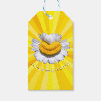 Étiquettes-cadeau "Bonjour bel Humain !" Chamomile Sourire Soleil