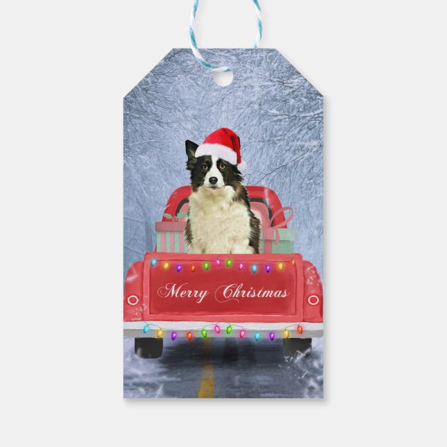 Étiquettes-cadeau Bordure Collie Chien dans Neige assis à Noël (Dos)