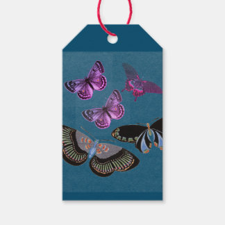 ÉTIQUETTES-CADEAU BOUTEILLES D'ONGLET CADEAU EN BLEU ET ROSE