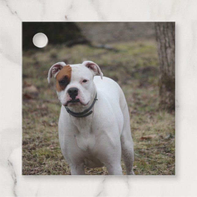 Étiquettes Cadeau Boxer (Devant)