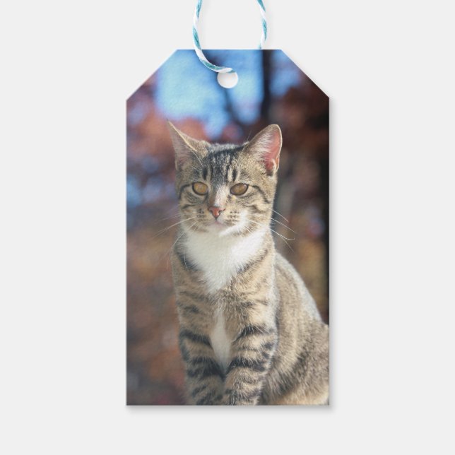 Étiquettes-cadeau Brin (Devant)