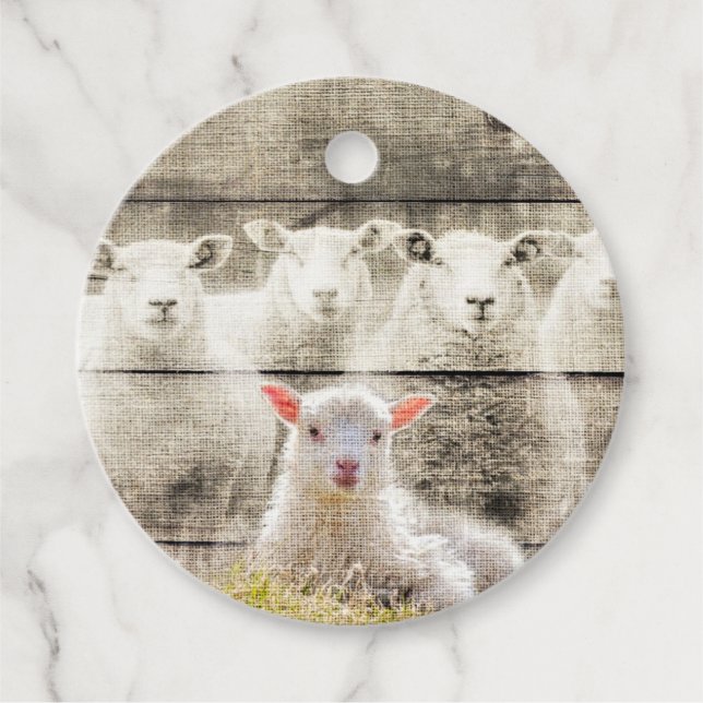 Étiquettes Cadeau Brûlure d'agneau de bébé à mouton rustique (Devant)