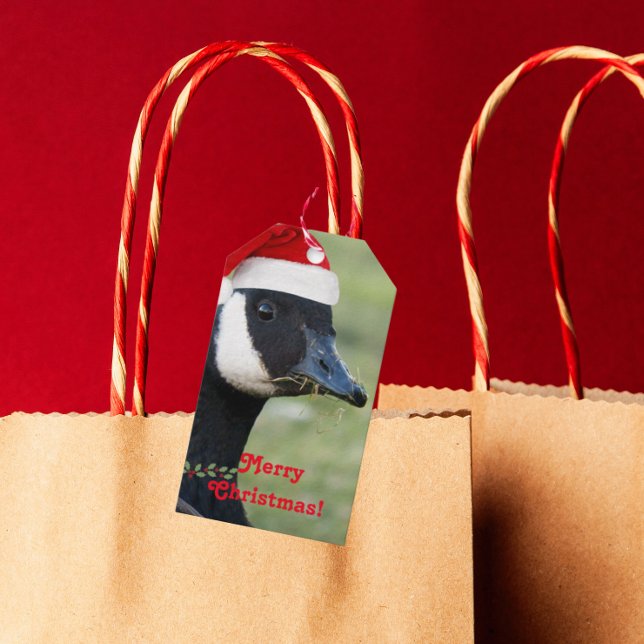 Étiquettes-cadeau Canada Goose Portant le Santa Hat Holiday (In Situ)