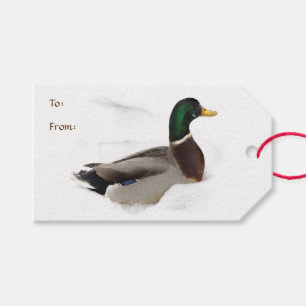Étiquettes-cadeau Canard dans le paquet de neige d'étiquettes de