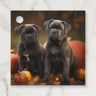 Étiquettes Cadeau Cane Corso Chiot Automne Citrouille de plaisir