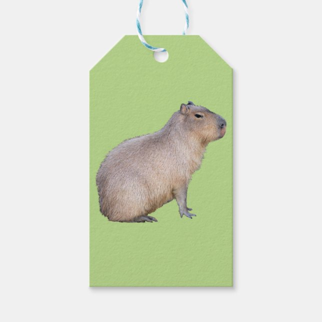 Étiquettes-cadeau Capybara (Devant)
