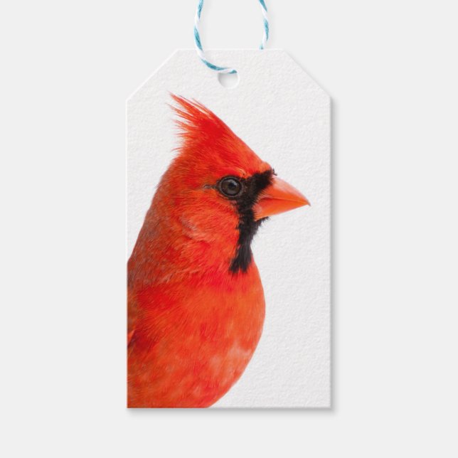 Étiquettes-cadeau Cardinal (Devant)