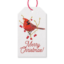 Cardinal des neiges