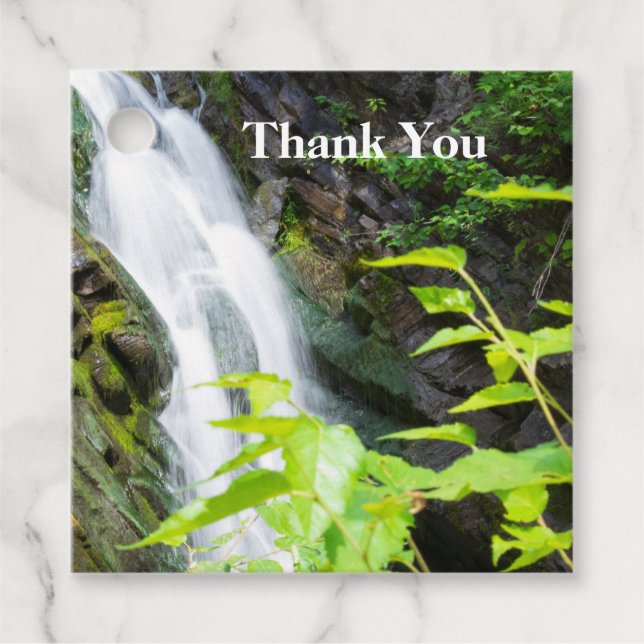 Étiquettes Cadeau Cascade de Hell's Gate Canyon (Devant)