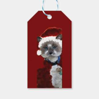 Étiquettes-cadeau Cat Santa Claws Christmas Maureen Girard Blue Eye
