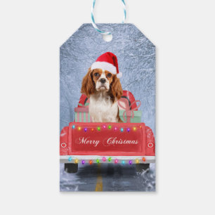 Étiquettes-cadeau Cavalier King Charles Spaniel Chien neige noël