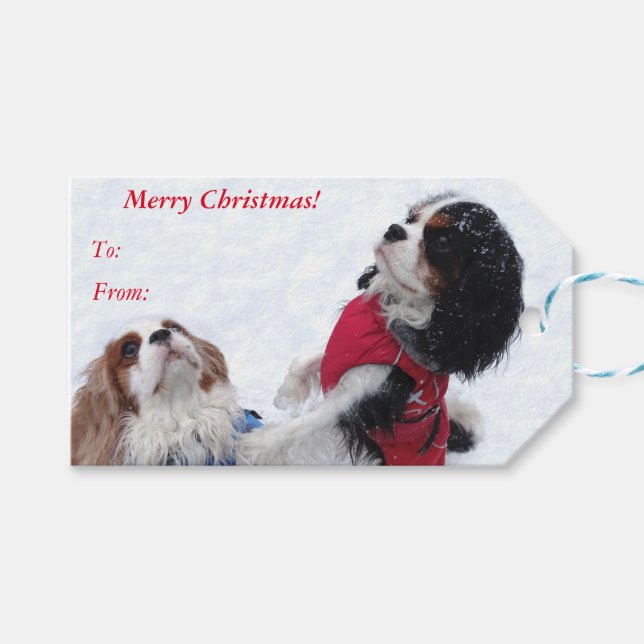 Étiquettes-cadeau Cavalier King Charles Spaniel Christmas Cadeaux Ta (Devant (Horizontal))