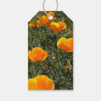 Étiquettes-cadeau Champ de coquelicots