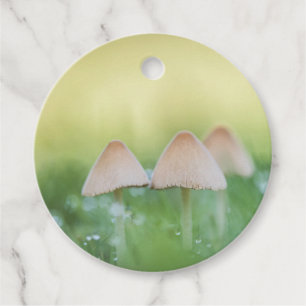 Étiquettes Cadeau Champignons Nature Photo