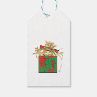 Étiquettes-cadeau Chat d'orange - Surprix cadeau de Noël