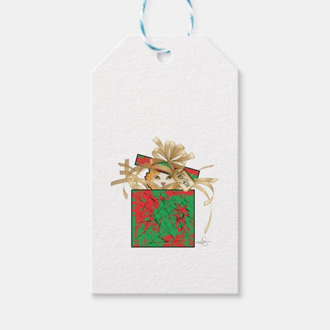 Étiquettes-cadeau Chat d'orange - Surprix cadeau de Noël (Devant)