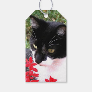 Étiquettes-cadeau Chat Tuxedo génial dans le jardin