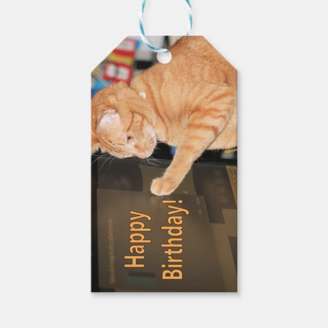 Étiquettes-cadeau chat ・ une ・ strophe ・ anniversaires ic non admis  (Devant)