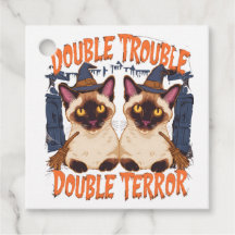 Chats siamois et portes crémeuses