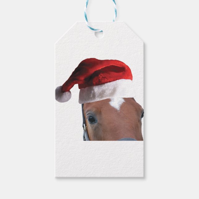 Étiquettes-cadeau Cheval de Noël Santa Hat (Devant)