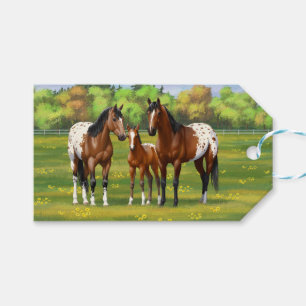 Étiquettes-cadeau Chevaux D'Appaloosa De La Baie Brown Dans Les Pât