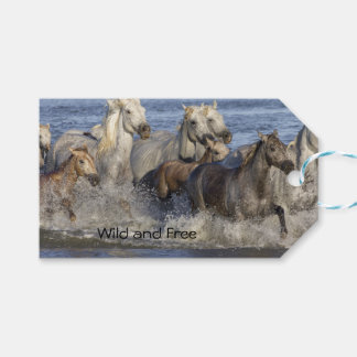 Étiquettes-cadeau Chevaux galopant dans l'eau