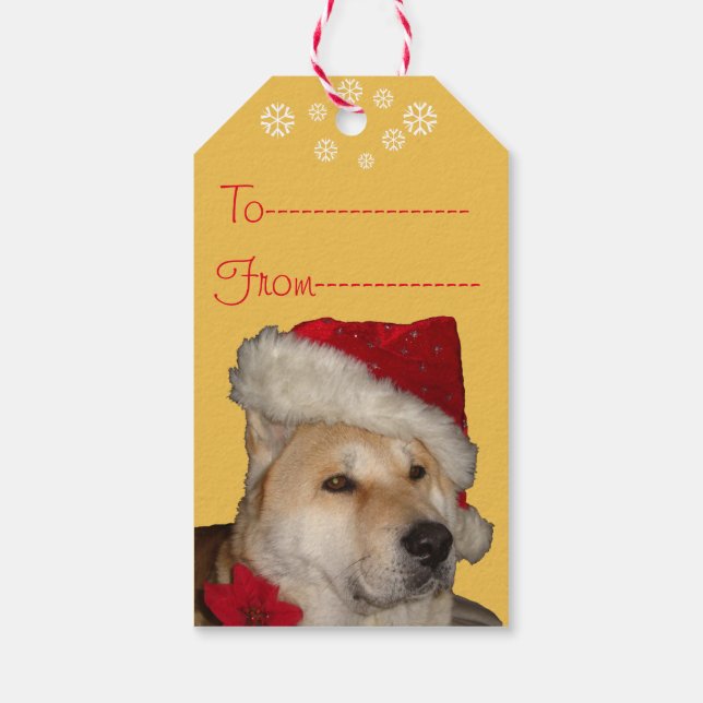 Étiquettes-cadeau Chien akita mignon habillé pour Noël (Dos)