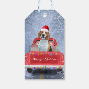 Étiquettes-cadeau Chien beagle en neige assis dans un camion de Noël