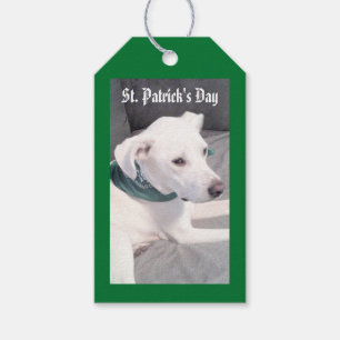 Étiquettes-cadeau Chien coquelicot mignon portant Écharpe vert et gr