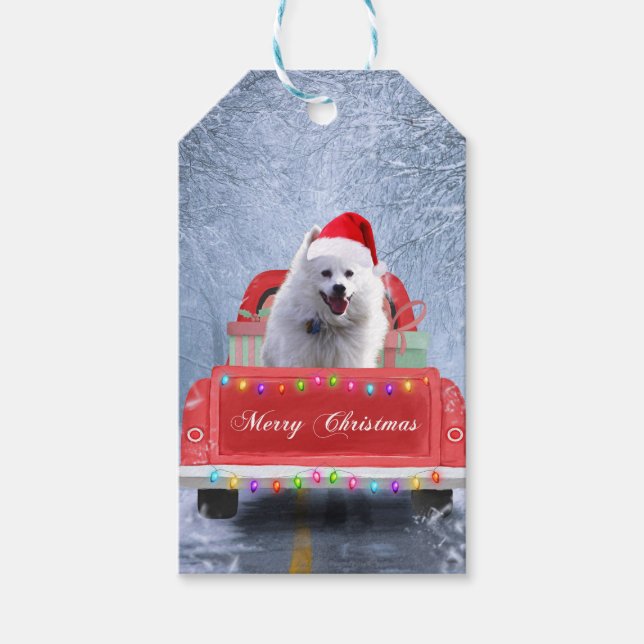 Étiquettes-cadeau Chien Eskimo américain en neige assis à Noël (Devant)