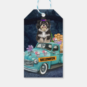 Étiquettes-cadeau Chien Havanais Halloween Camion Nuit Effrayante