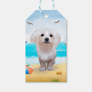 Étiquettes-cadeau Chien maltais sur la plage