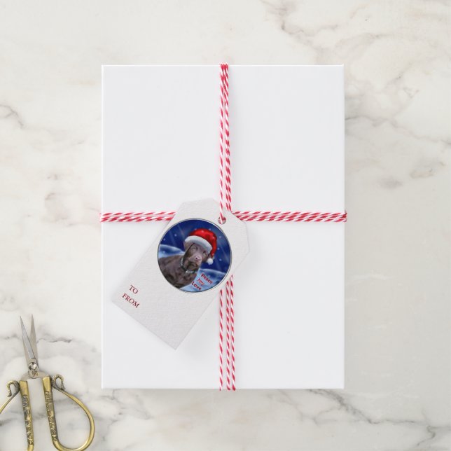 Étiquettes-cadeau Chocolate Labrador (Avec de la ficelle)