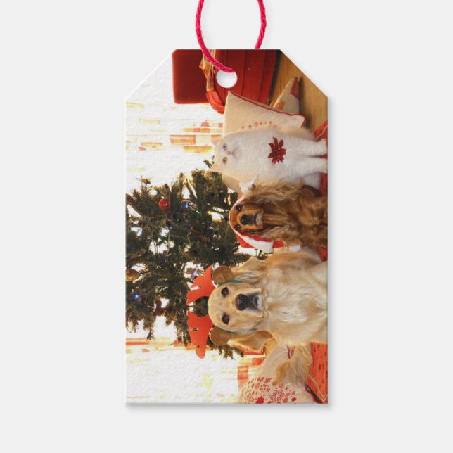 Étiquettes-cadeau Christmas Pets mignon Tags Cadeaux (Devant)