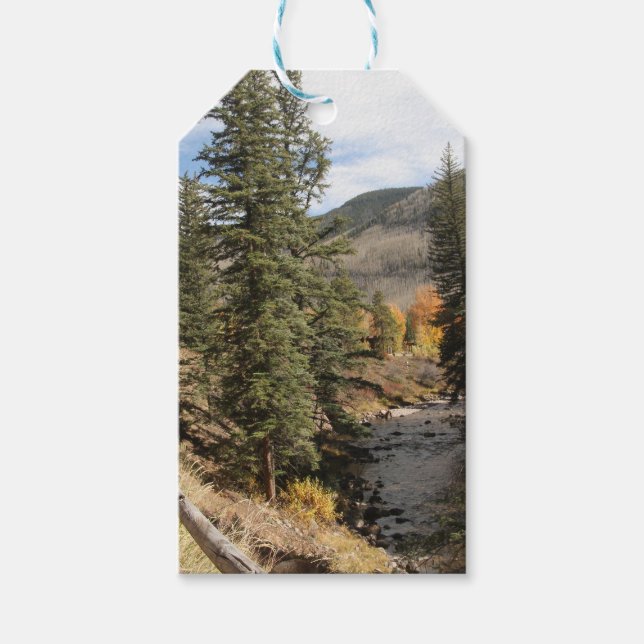 Étiquettes-cadeau Chute à Aspen (Devant)