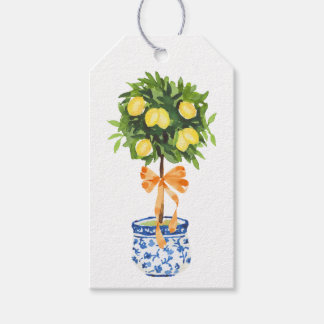 Étiquettes-cadeau Citron, Bow orange